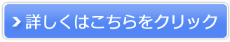 エスツーサーバー販売サイトへ